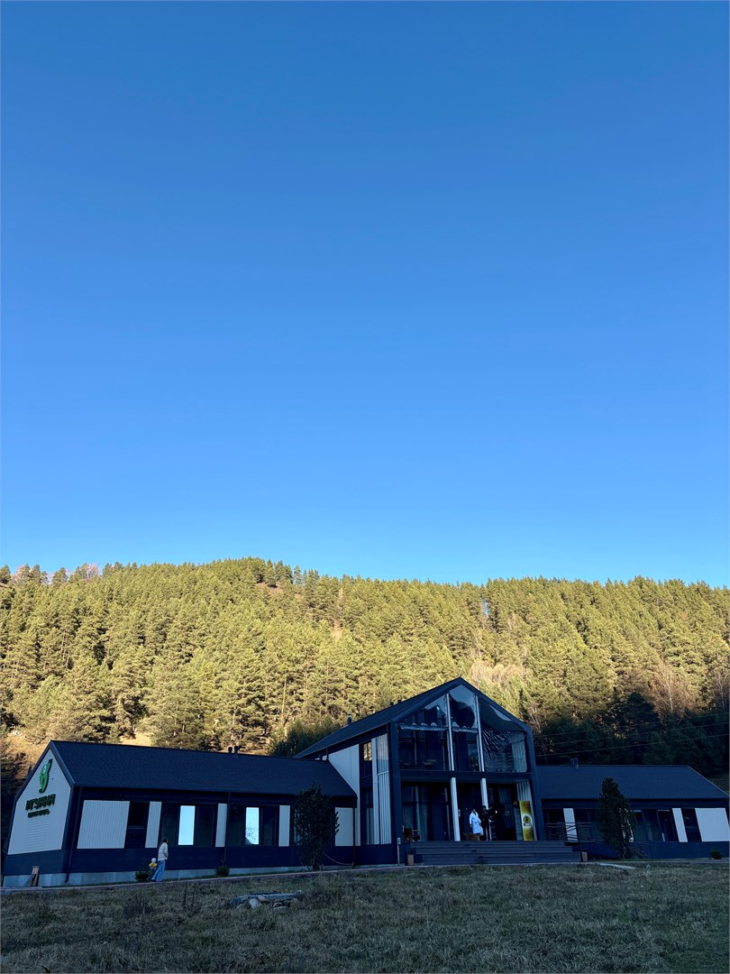 Игуана Бутик Отель - photo 5