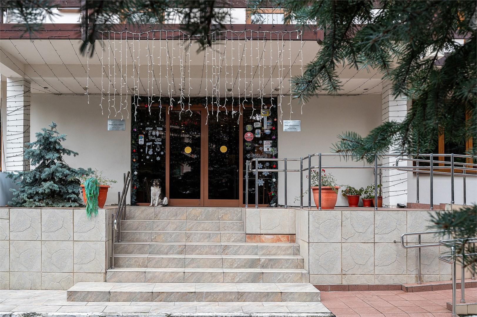 Гала Альпик 3* - photo 5