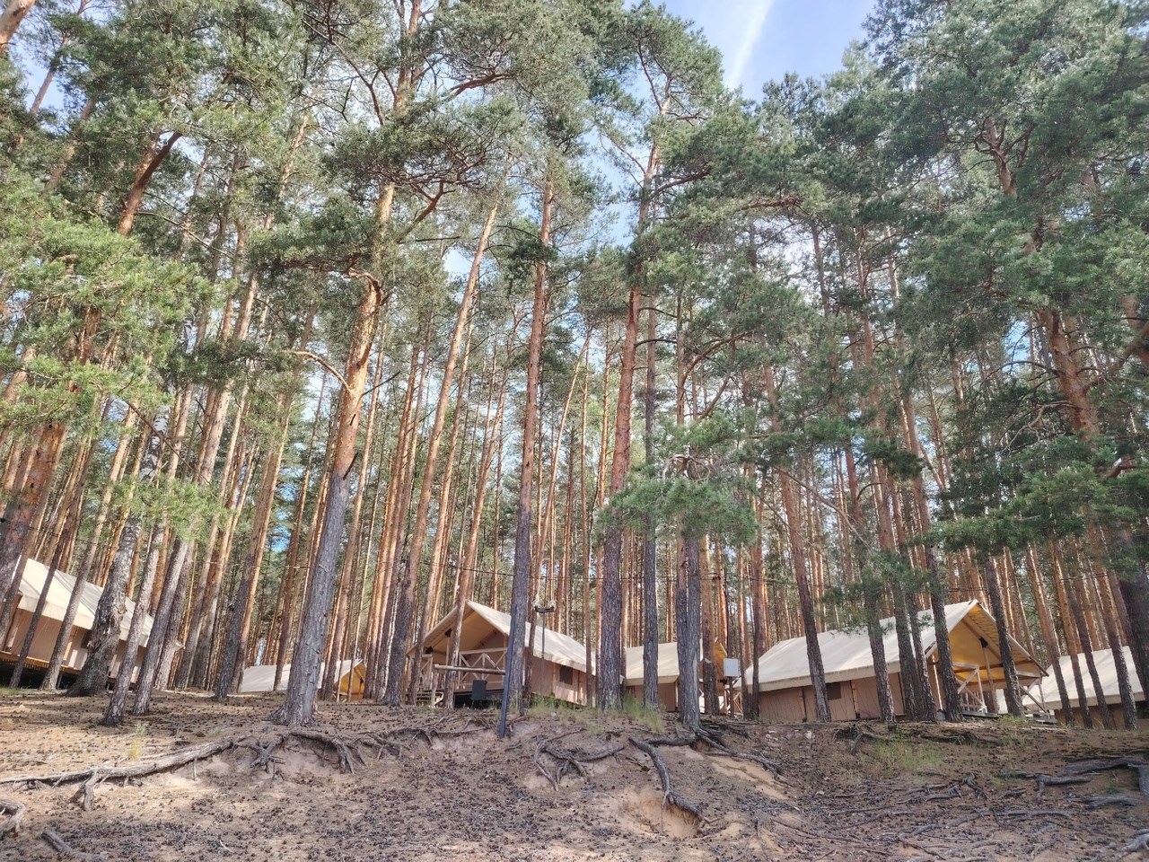 Edimonovo Glamp - photo 2
