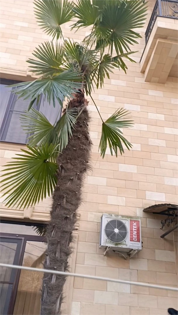 Апарт-отель София - photo 4