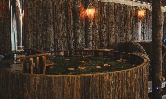 Garnet Holiday МИР - photo 4