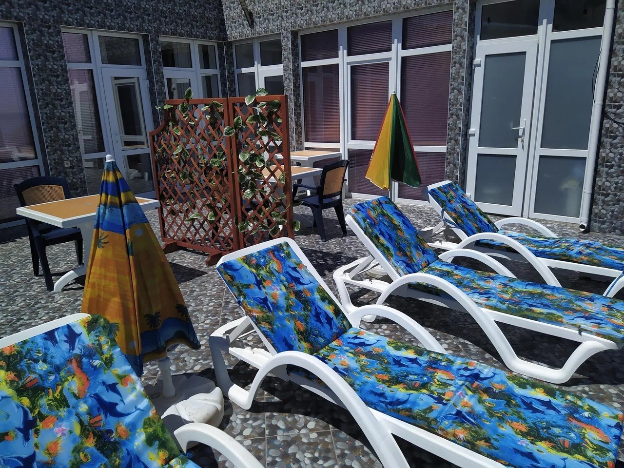 Индиго - photo 2