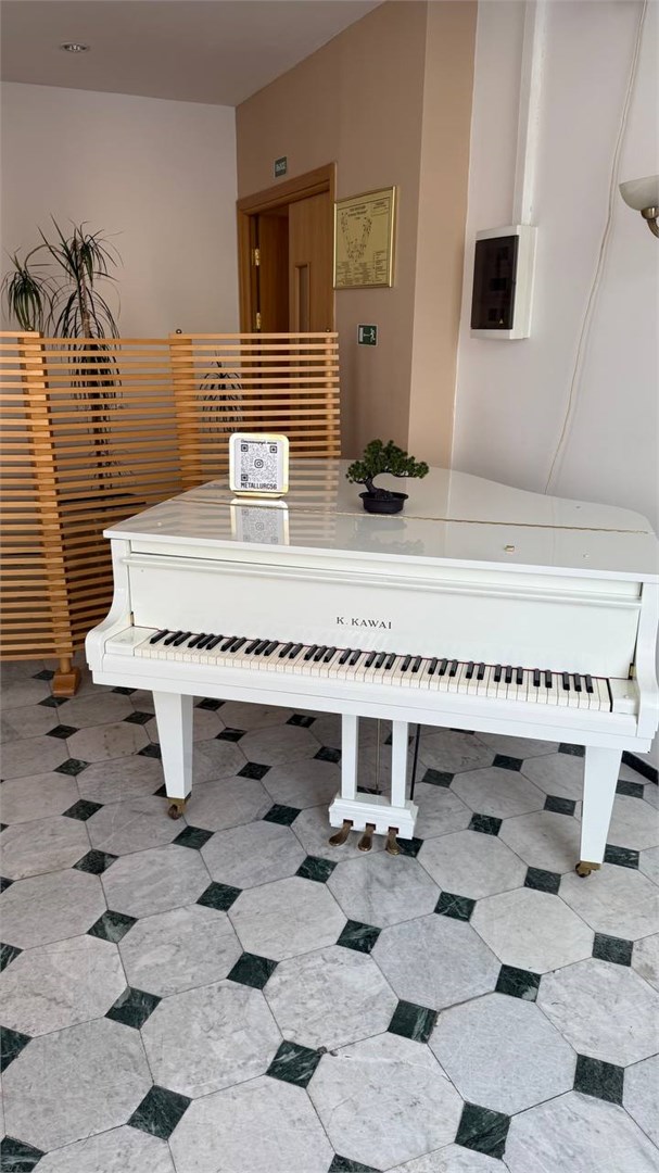 Гостиница «Металлург»