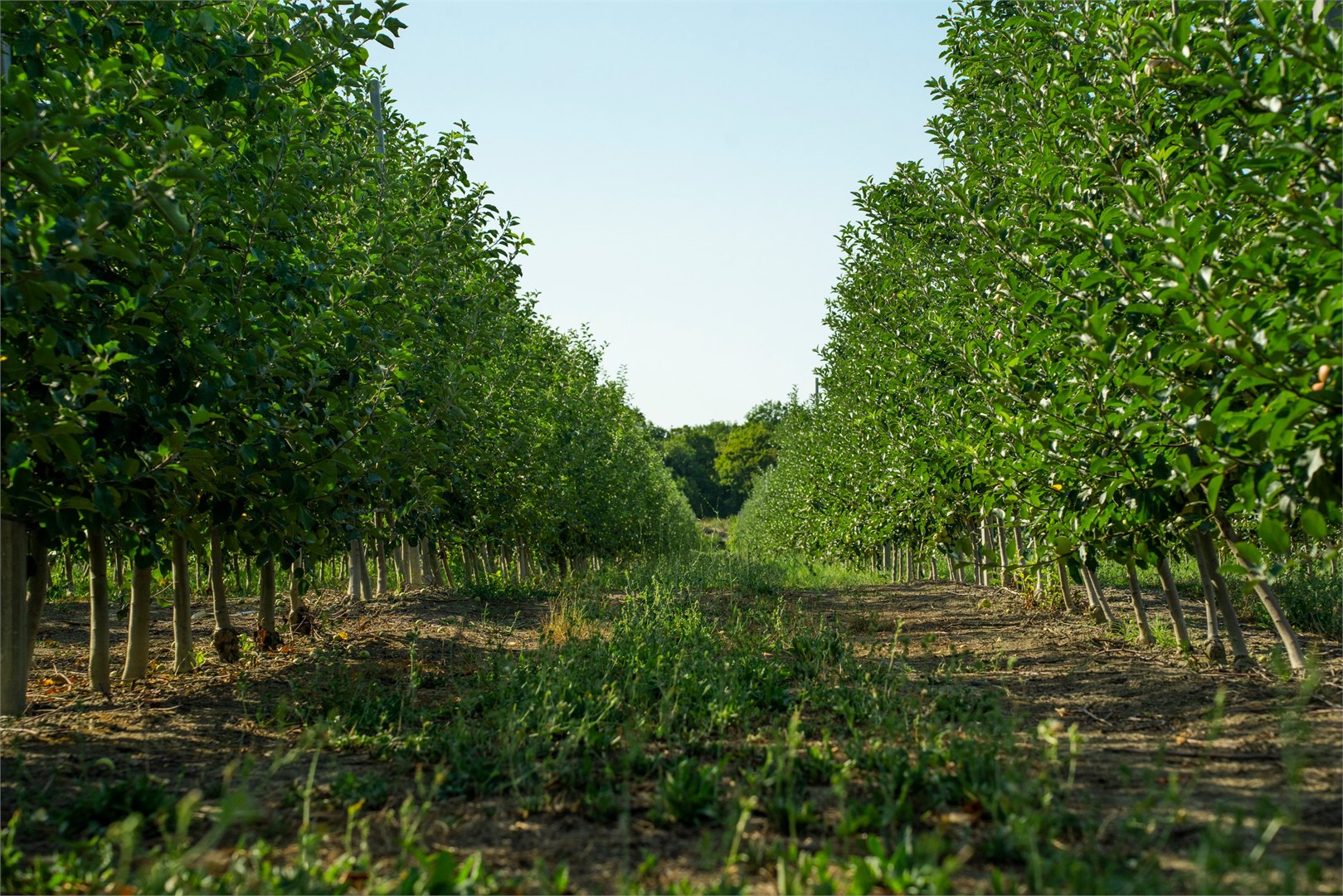 Эко-парк "Анжелина" - photo 3