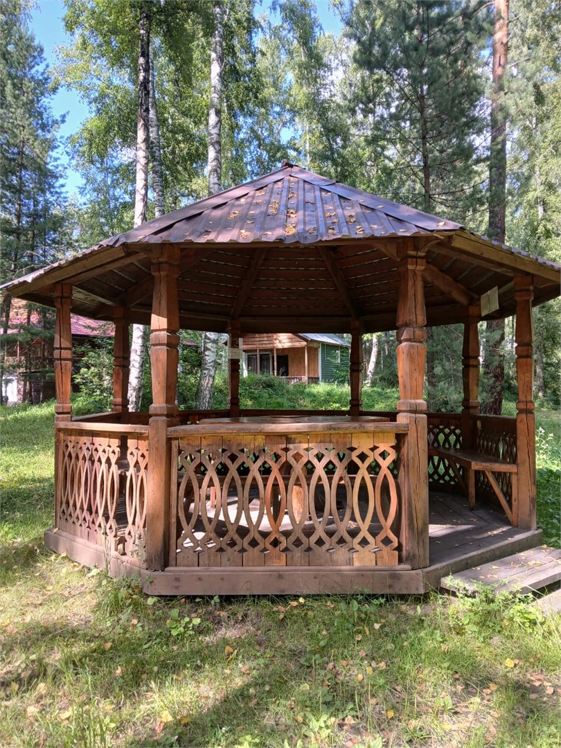 ОДА - photo 3