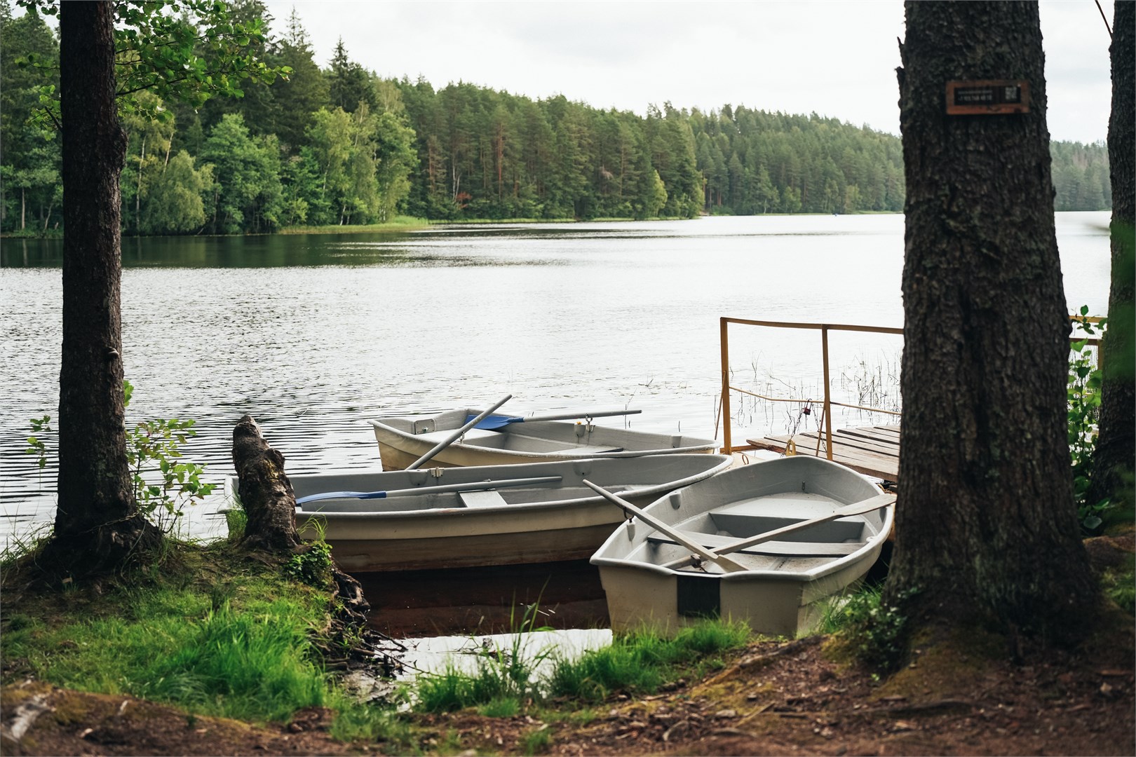 VIEW GA озеро Длинное - photo 3