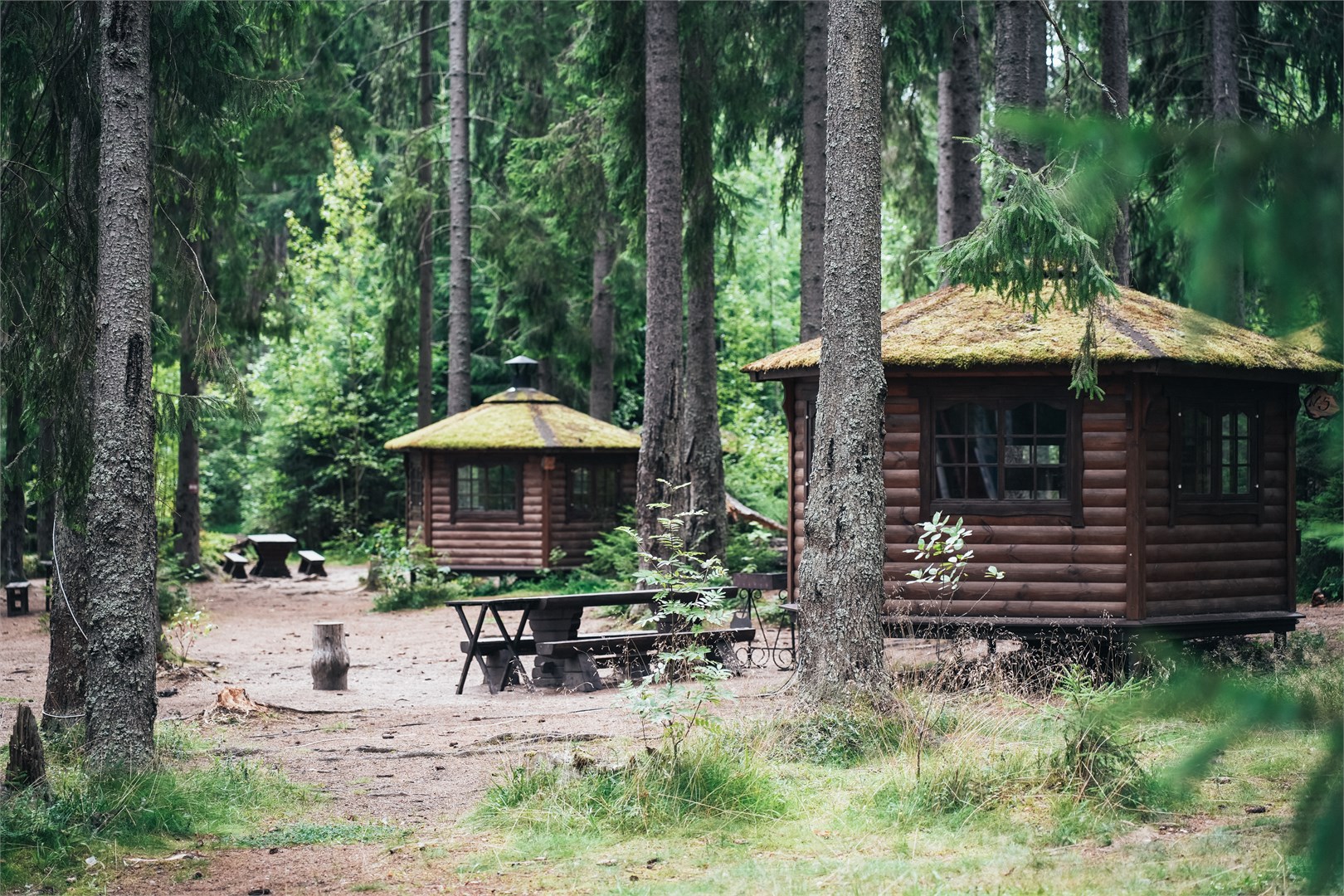 VIEW GA озеро Длинное - photo 4