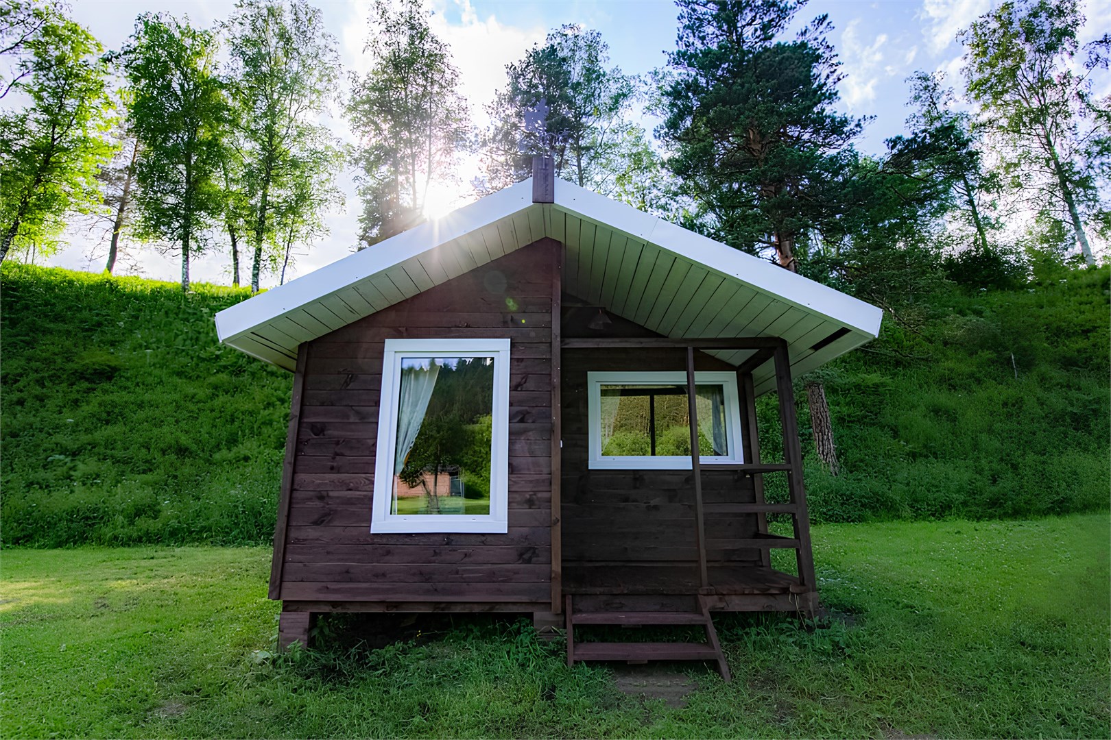 Большие Коты