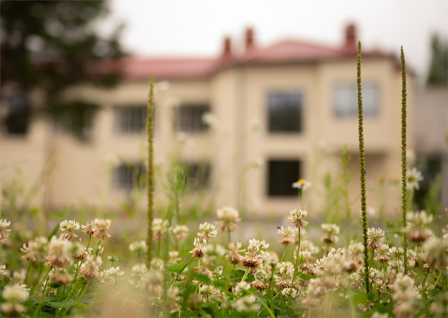 Оздоровительный центр Веда - photo 5