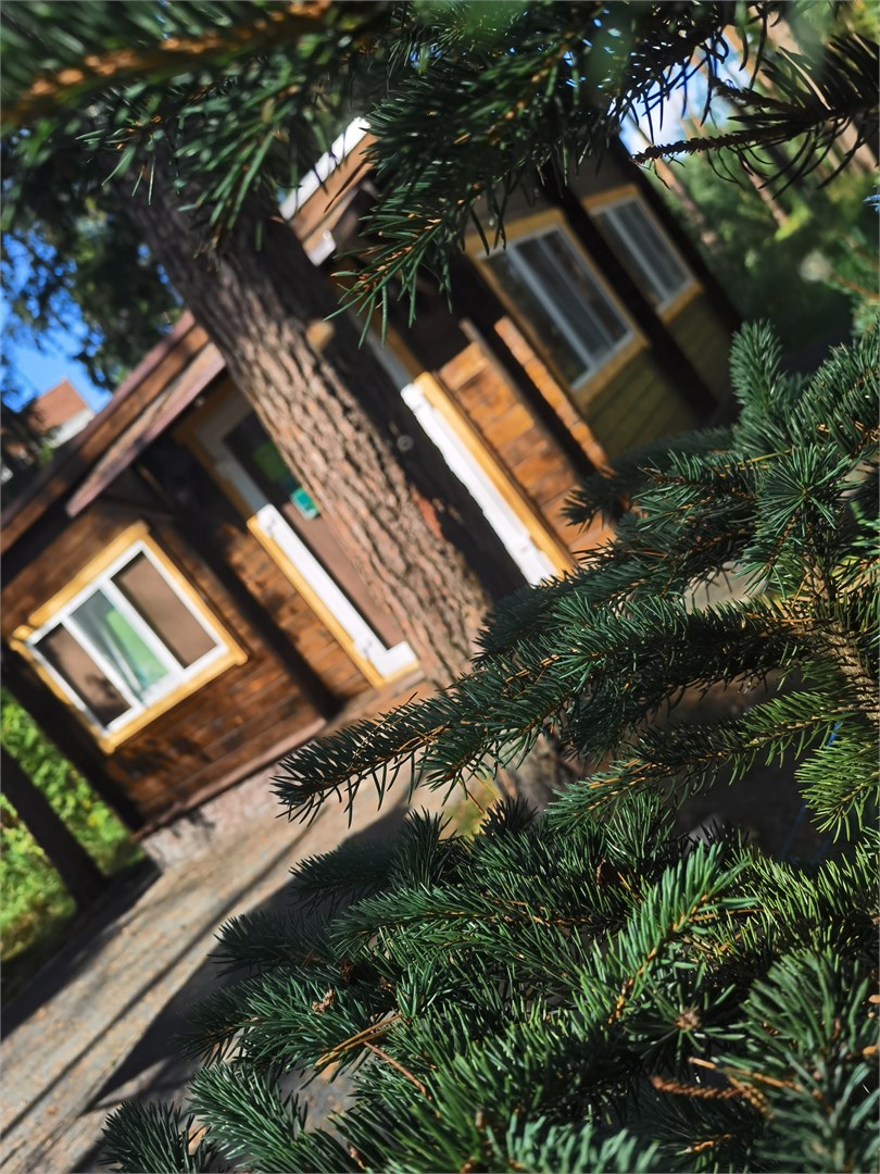 Комплекс апартаментов Яхонтовый Лес - photo 2