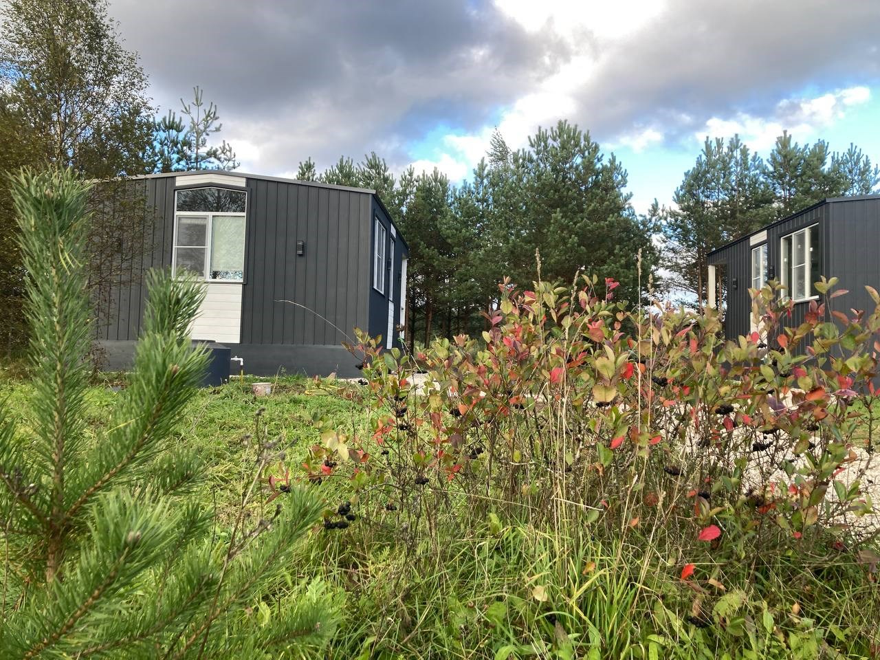 Александровские дачи - photo 5