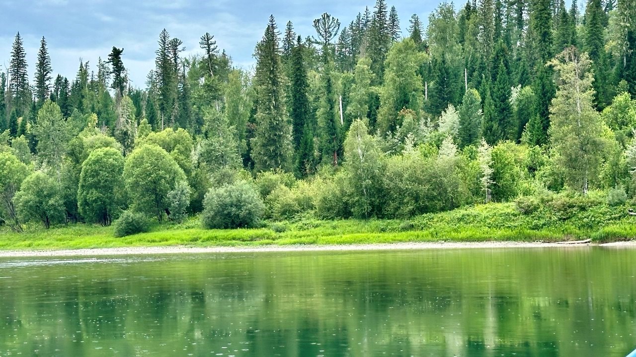 Заимка - photo 4