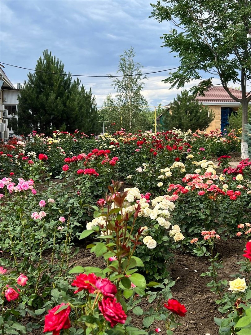 Усадьба Юзефова - photo 5