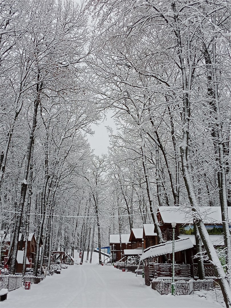 Голубой Огонек - photo 4