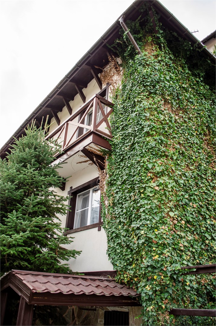 Альпийский двор - photo 2