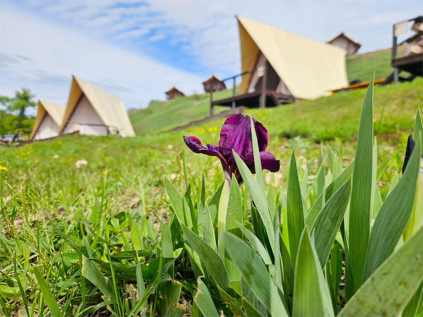 Активный глэмпинг Сплав Стихий - photo 2
