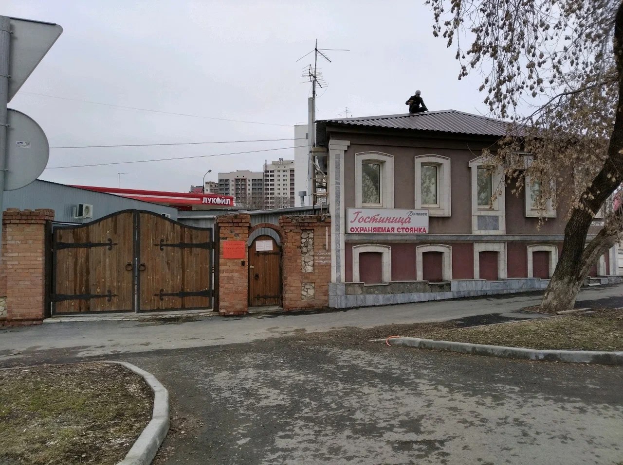 Галчонок - photo 3