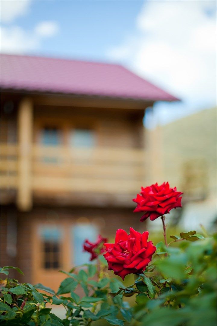 Самоцветы - photo 3