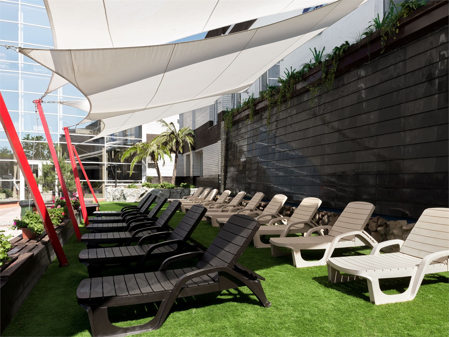 Cinema Capsula Dolphin Planet - photo 3