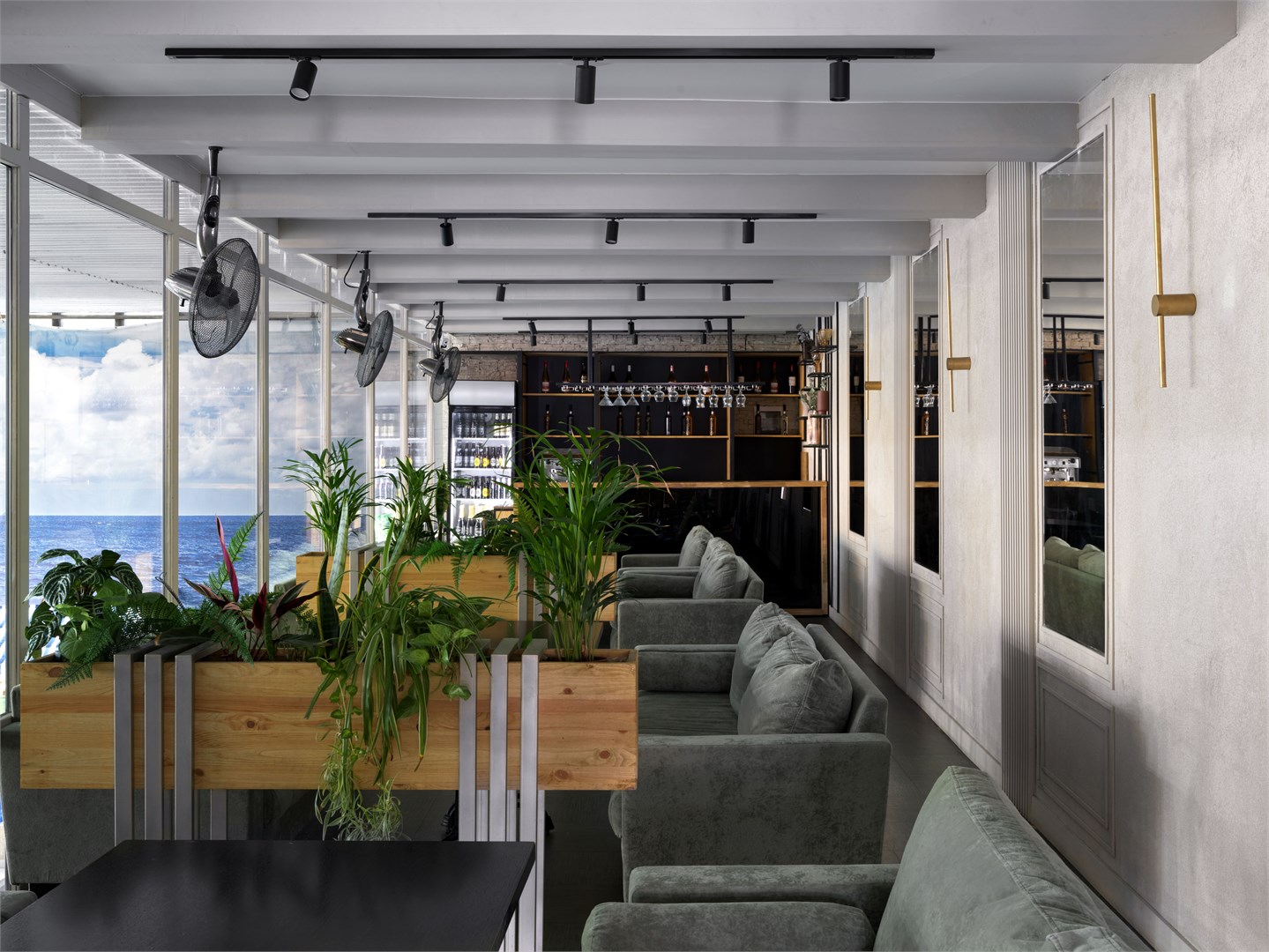 Cinema Capsula Dolphin Planet - photo 5