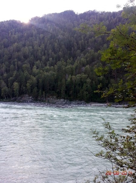 Золотые пески, база отдыха (Горный Алтай) - photo 2