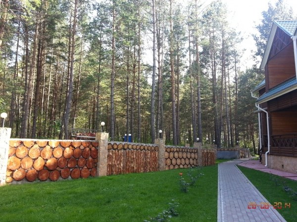 Золотые пески, база отдыха (Горный Алтай) - photo 5