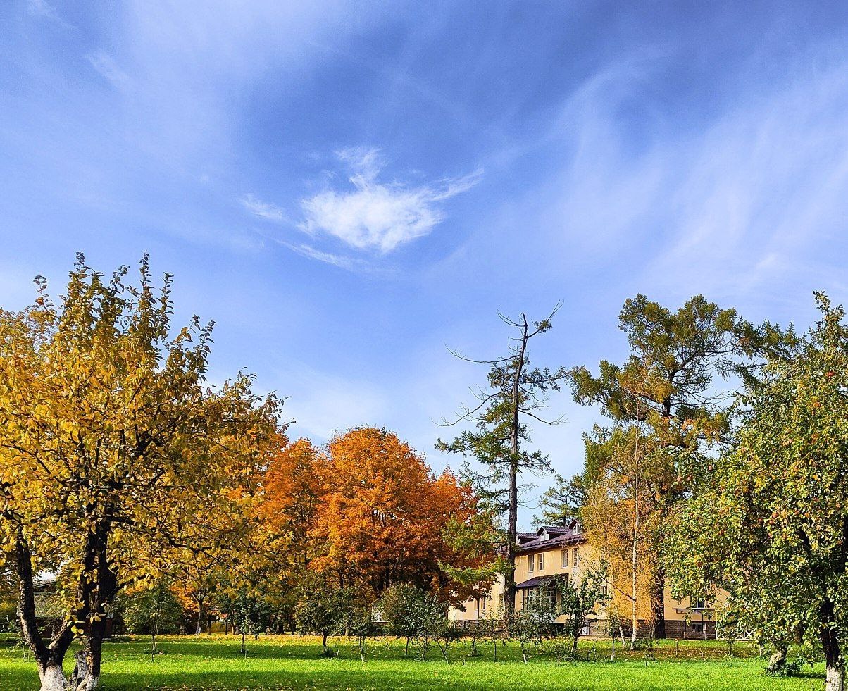 Староладожская дача - photo 5