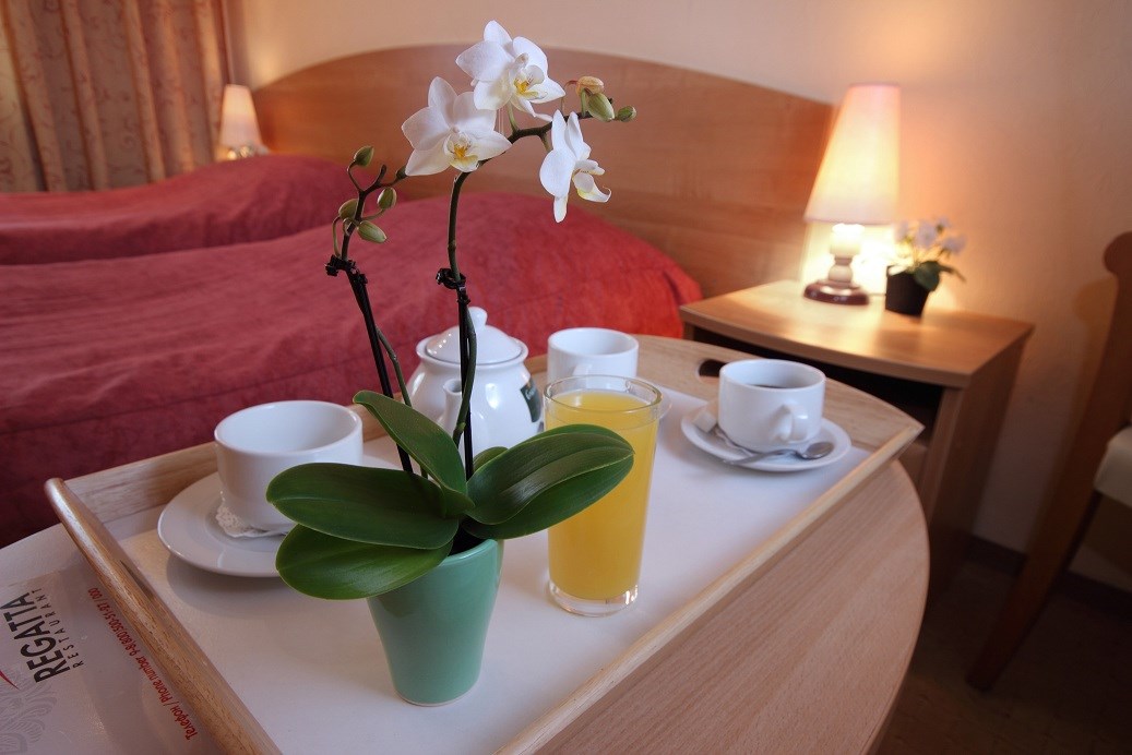 Polo Regatta Hotel - photo 2