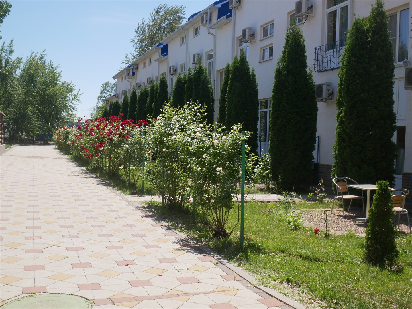 Голубая Волна - photo 2