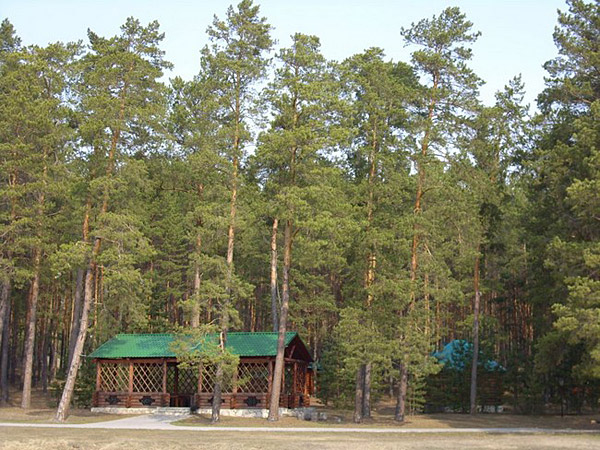 ГК Русская охота - photo 5