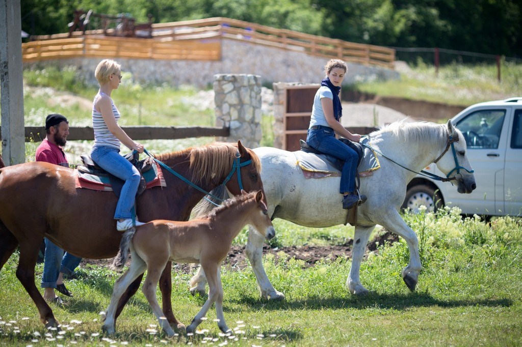 Усадьба Кутлер - photo 5