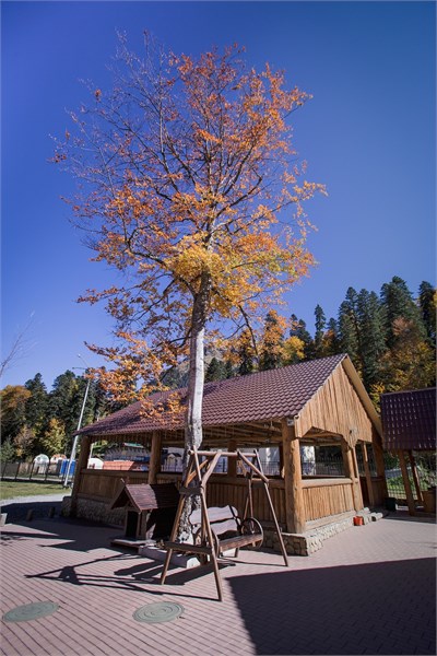 Отель Снежный барс (Домбай) - photo 5