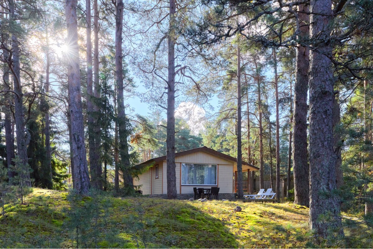 Окуневая, база отдыха - photo 2