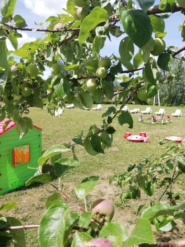 Шале (Руза, Московская область) - photo 2