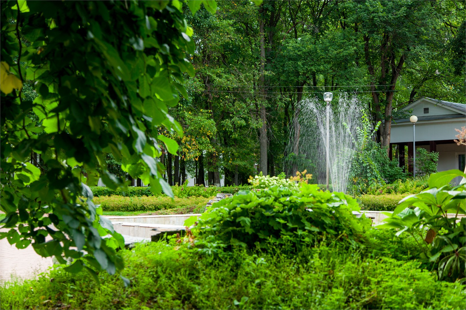 Санаторий Зеленый город - photo 3