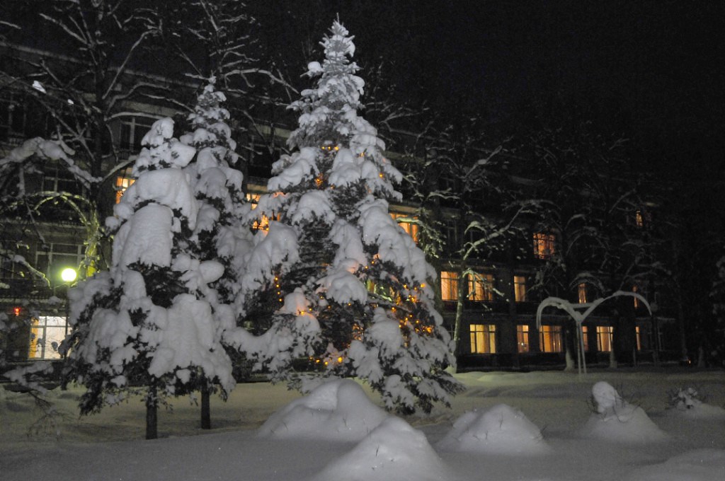 Санаторий Зеленый город - photo 2