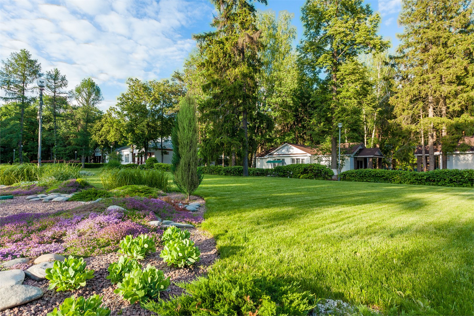 Санаторий Зеленый город - photo 5