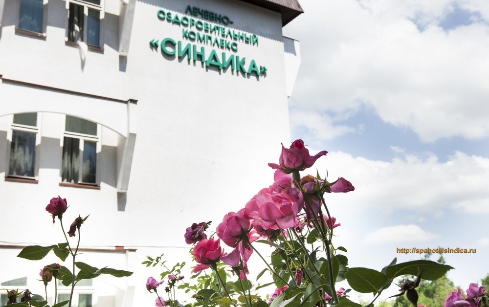 Синдика - photo 5