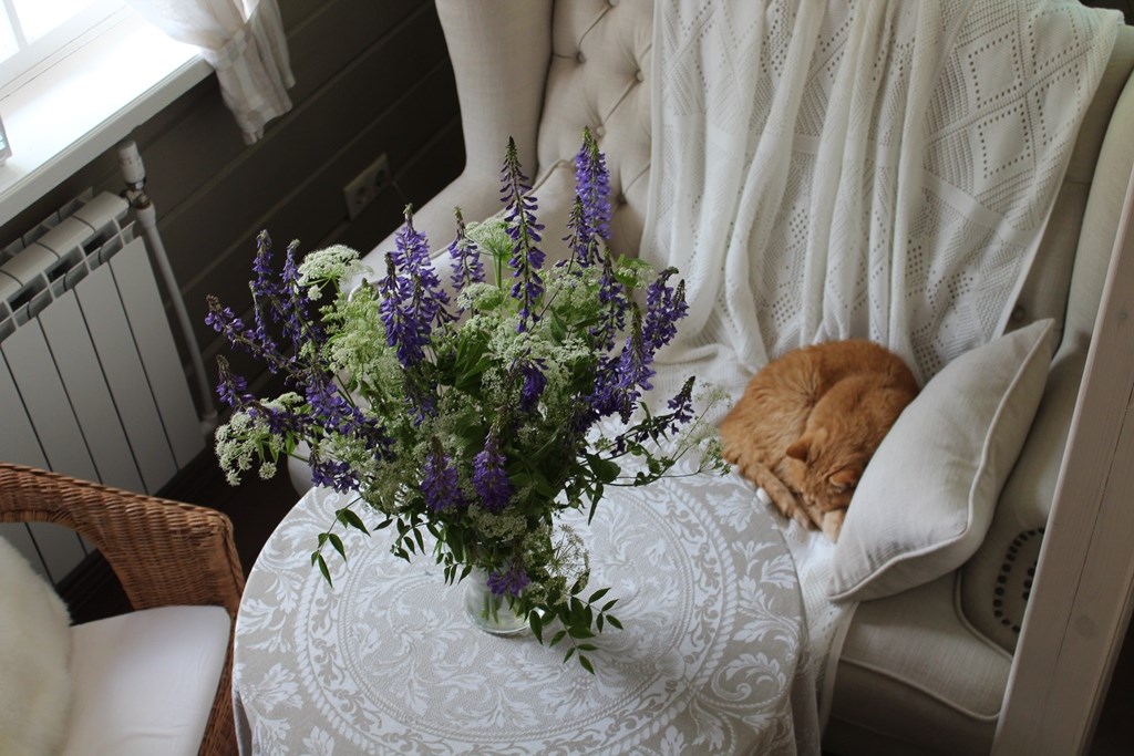 Усадьба Плес