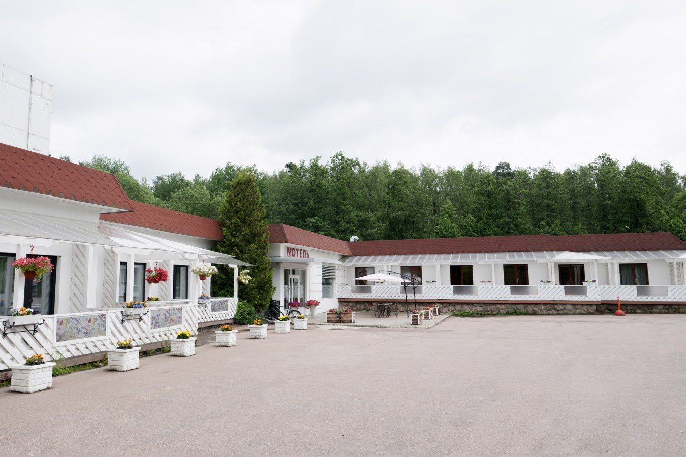 Кировские дачи