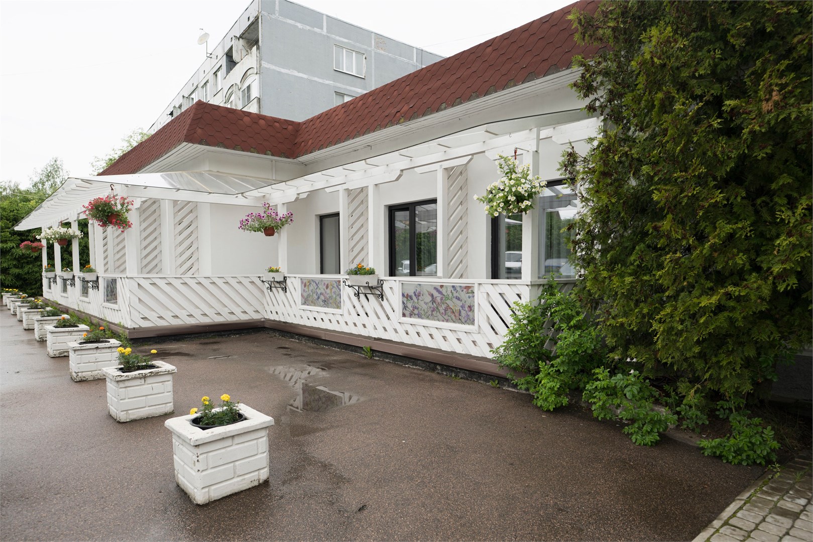 Кировские дачи - photo 3