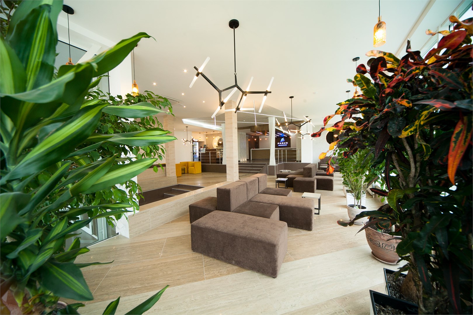 PARUS medical resort & SPA - photo 5