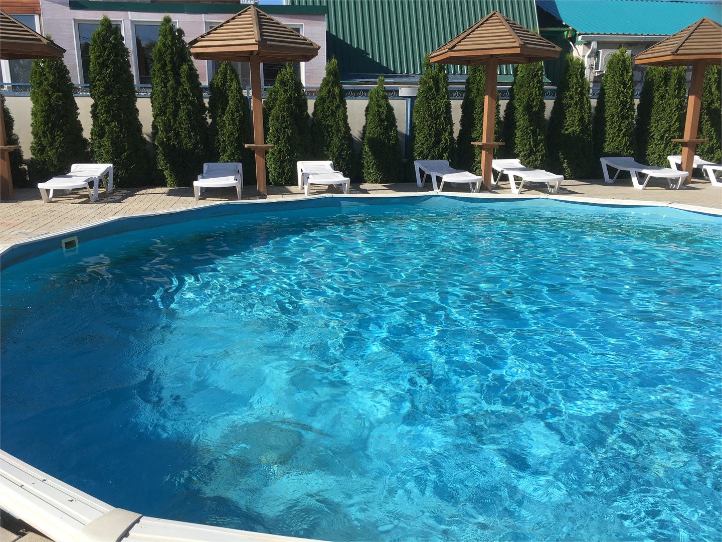 Дельфин - photo 2