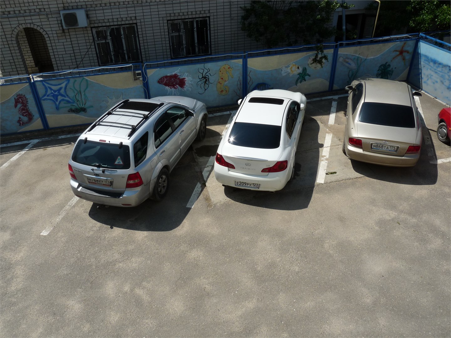 Дельфин - photo 4