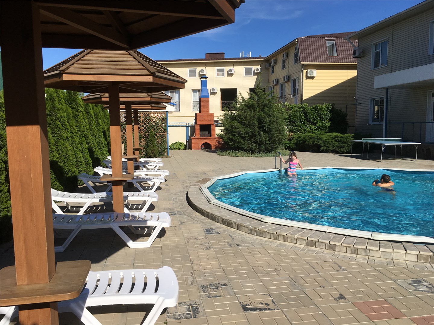 Дельфин - photo 5