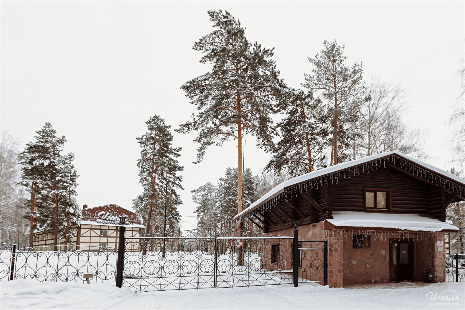 Ингала - photo 4