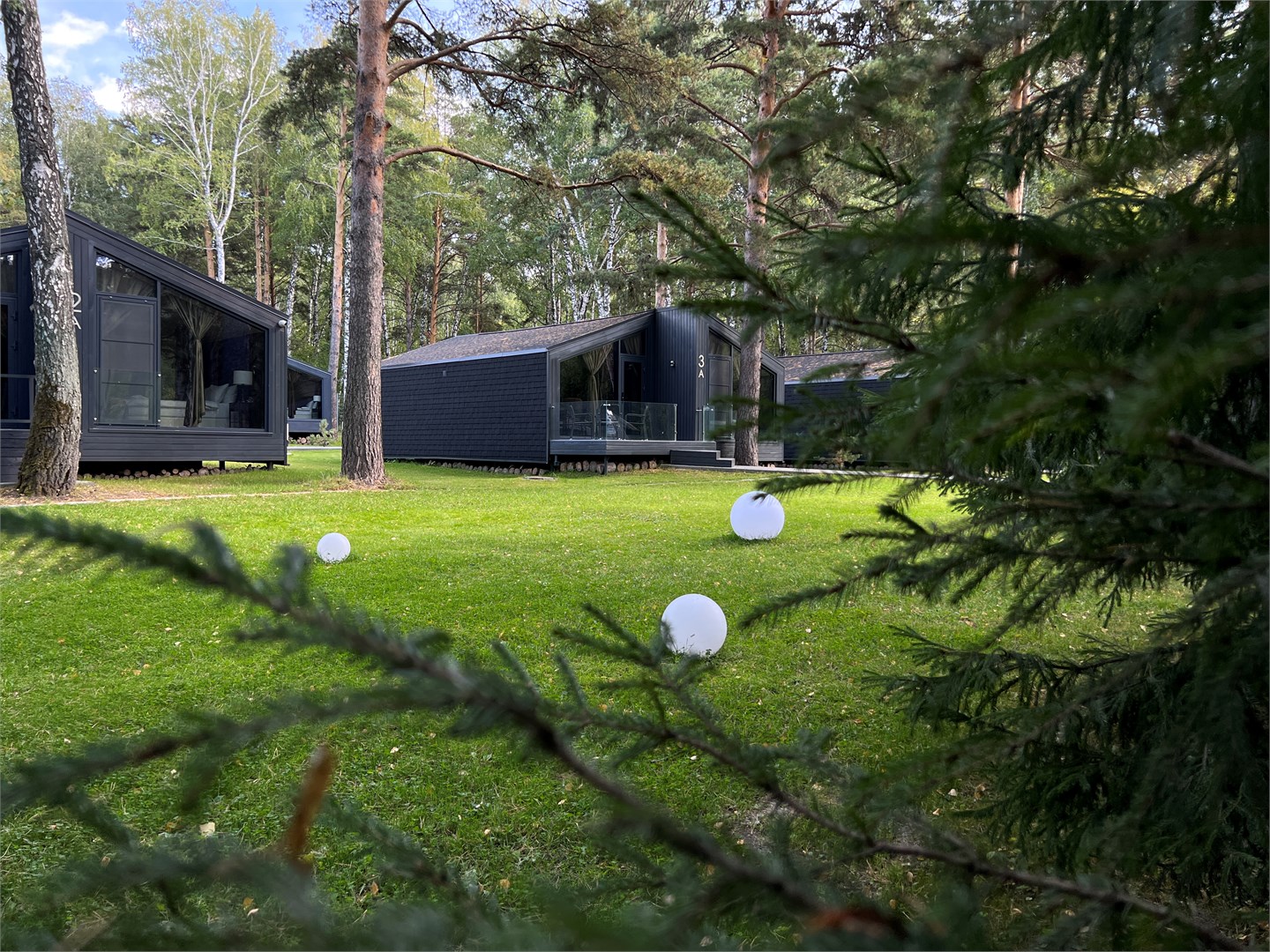 Сосновый бор