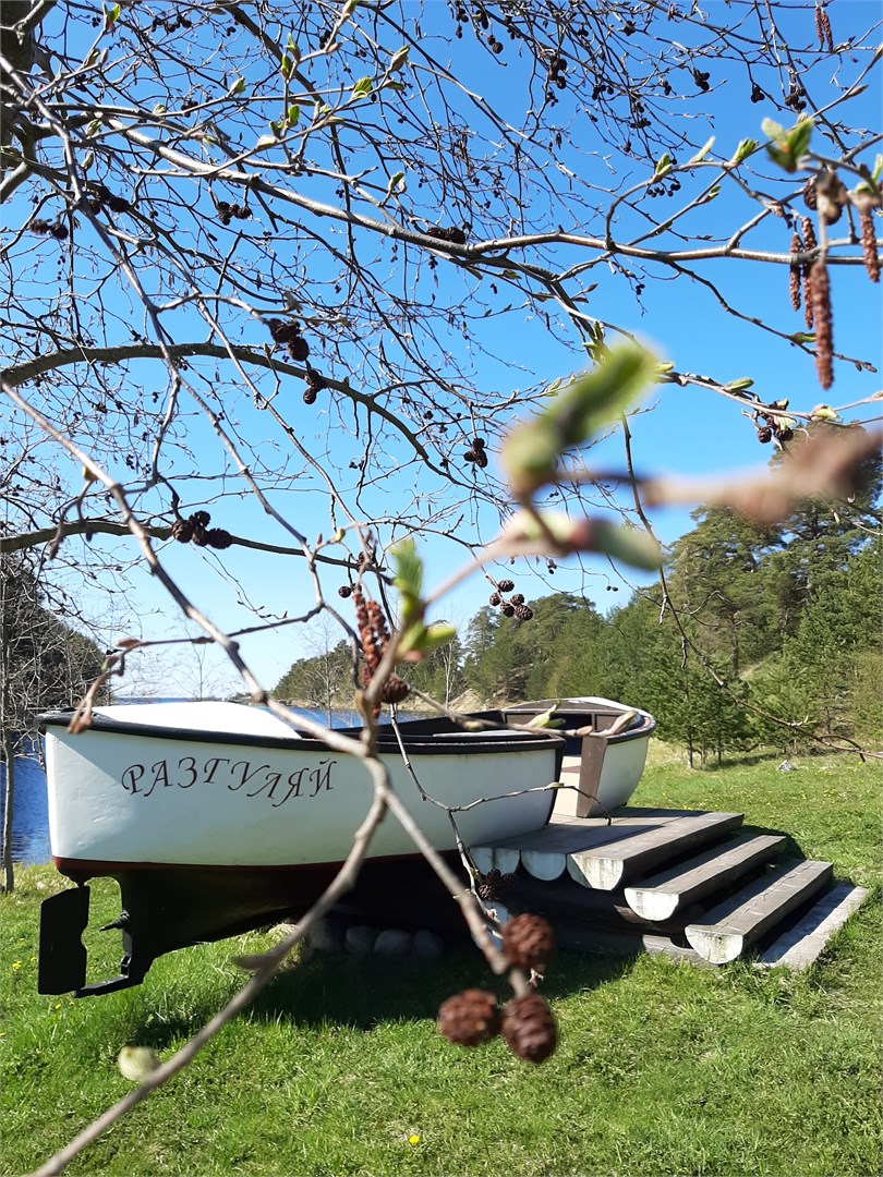 Villa Vitele / Вилла Вителе - photo 5