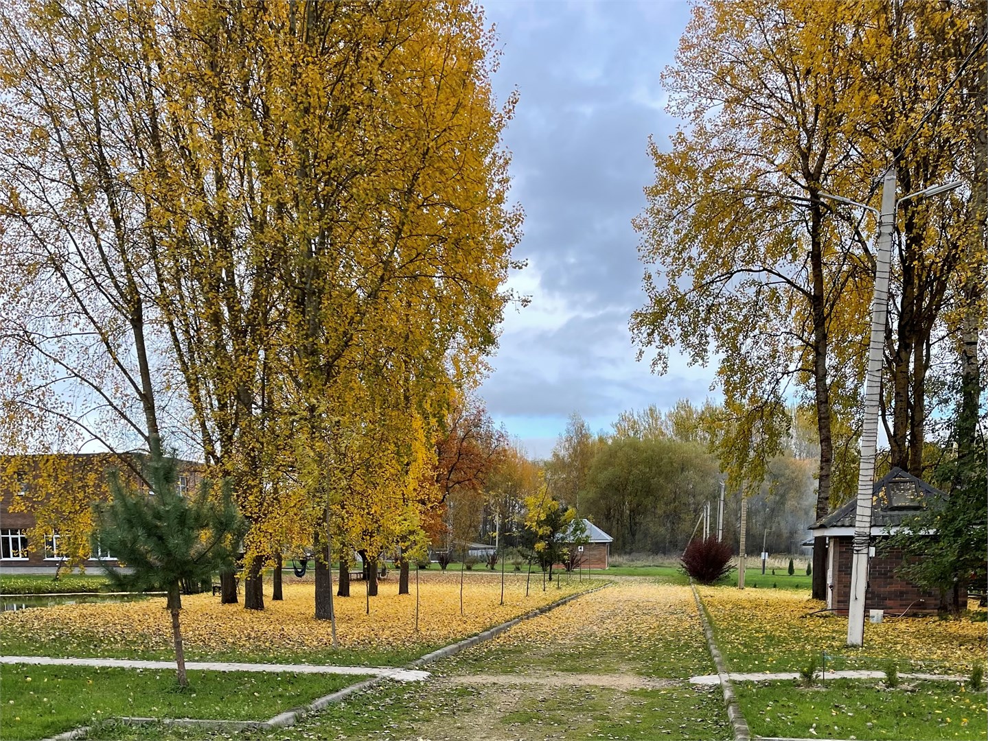 Зазерки на Вазузе - photo 2