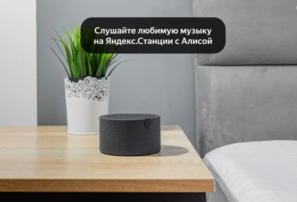 Минима Динамо - photo 4